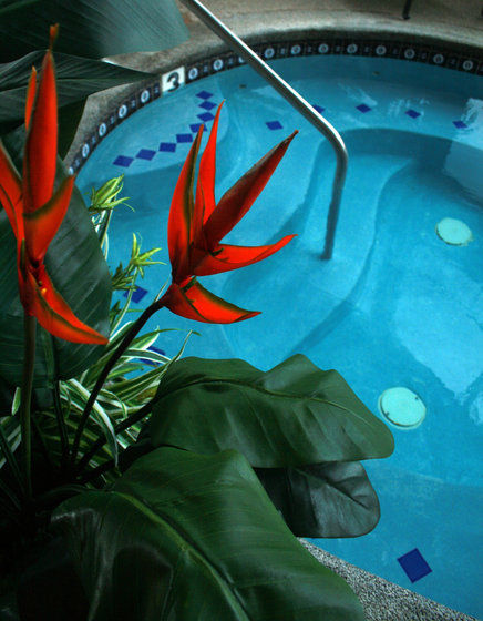 Hotel Fulton Steamboat 3*